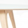 Table legs and top